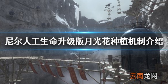 尼尔人工生命升级版月光花为什么不出种子 尼尔月光花种植