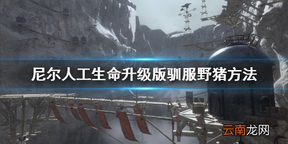 尼尔人工生命升级版怎么驯服野猪 尼尔人工生命驯服野猪方法