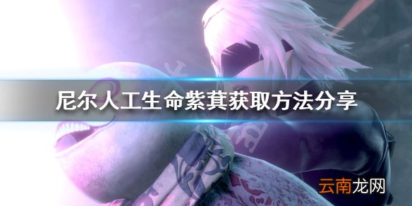 尼尔人工生命升级版紫萁怎么获得 紫萁获取方法分享