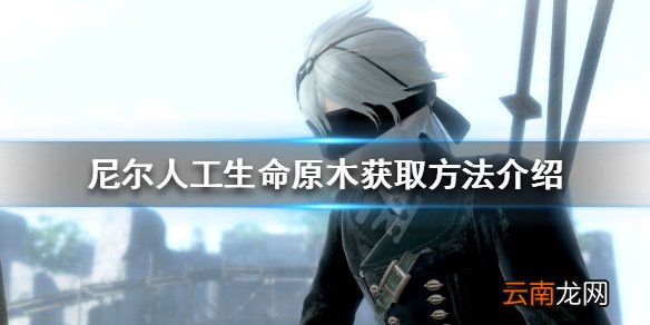 尼尔人工生命升级版原木怎么获得 原木获取方法介绍