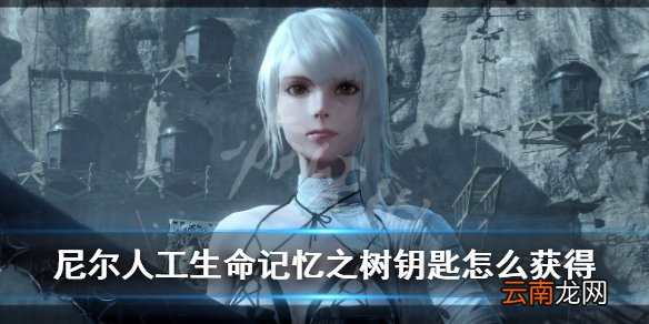 尼尔人工生命记忆之树钥匙怎么获得 记忆之树钥匙获得方法