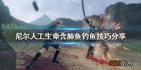 尼尔人工生命升级版含肺鱼怎么钓 含肺鱼钓鱼技巧分享