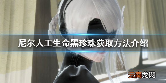 尼尔人工生命升级版黑珍珠怎么获得 黑珍珠获取方法介绍