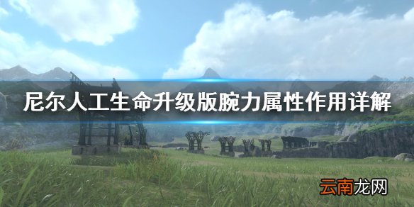 尼尔人工生命升级版腕力属性有什么用 尼尔腕力属性作用详解
