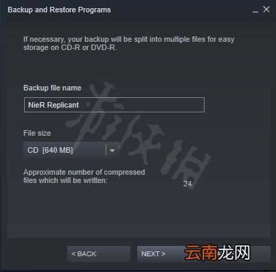 尼尔人工生命升级版无法备份文件怎么办 尼尔无法备份文件