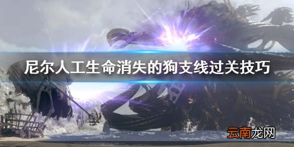 尼尔人工生命消失的狗支线过关技巧 消失的狗怎么过关