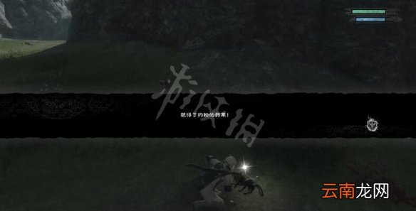 尼尔人工生命消失的狗支线过关技巧 消失的狗怎么过关