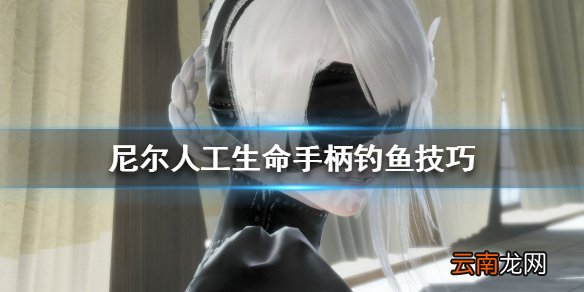 尼尔人工生命升级版手柄怎么钓鱼 尼尔人工生命手柄钓鱼技巧