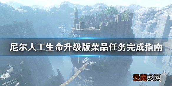 尼尔人工生命升级版菜品任务怎么做 菜品任务完成指南