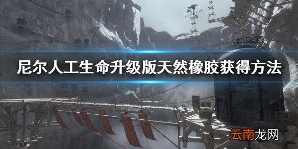 尼尔人工生命升级版天然橡胶怎么得 尼尔天然橡胶获得方法