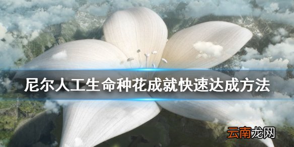 尼尔人工生命种花成就快速达成方法 种花有什么技巧