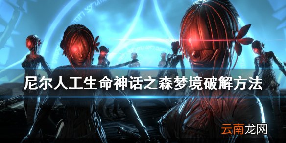 尼尔人工生命神话森林谜题怎么解 神话之森梦境破解方法