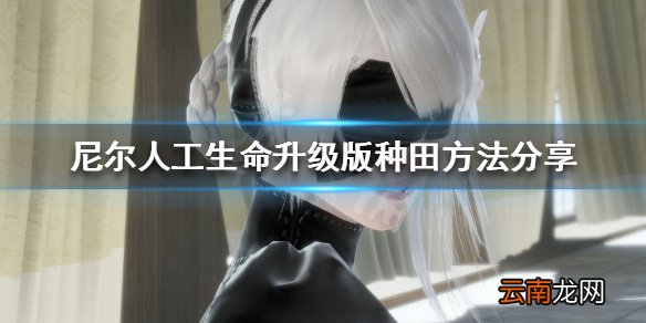 尼尔人工生命升级版怎么种田 尼尔人工生命种田方法分享