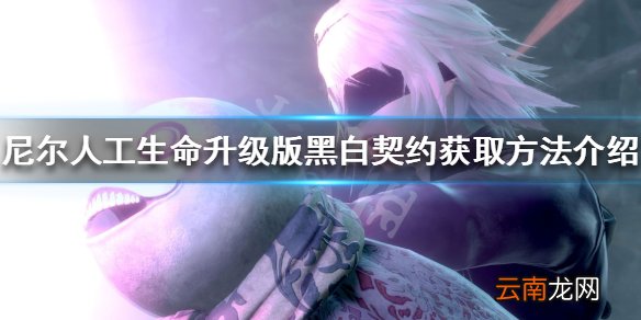 尼尔人工生命升级版白之契约怎么获得 黑白契约获取方法介绍