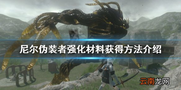 尼尔人工生命稀有强化材料有哪些 尼尔伪装者强化材料获得