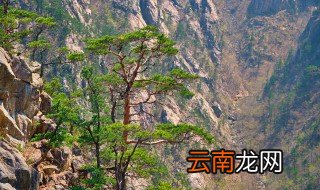 诸城免费景点有哪些景区 诸城免费景点有哪些