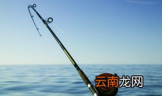 冬天钓鱼的鱼饵有哪些 冬天钓鱼的鱼饵有哪些鱼