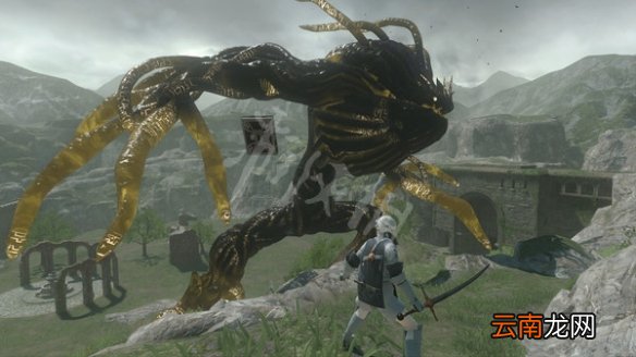 尼尔人工生命药品有哪些 尼尔伪装者药品获得方法与功能介绍