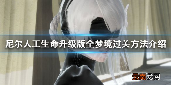 尼尔人工生命升级版梦境怎么过 全梦境过关方法介绍