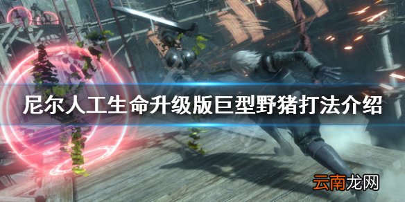 尼尔人工生命升级版巨型野猪怎么打 尼尔巨型野猪打法介绍