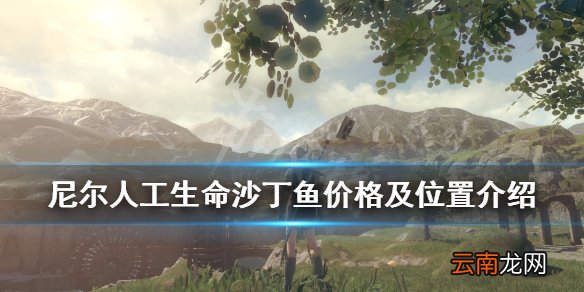 尼尔人工生命沙丁鱼在哪钓 尼尔人工生命沙丁鱼价格及位置介绍