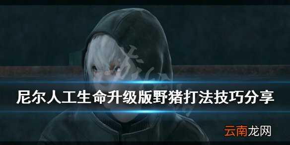 尼尔人工生命升级版野猪打法技巧分享 野猪怎么打