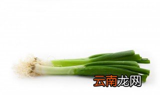 种植大葱需要哪些技术条件 大葱的种植方法和技术