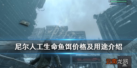 尼尔人工生命鱼饵在哪买 尼尔人工生命鱼饵价格及用途介绍