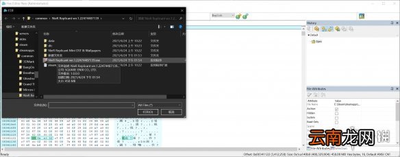 尼尔人工生命升级版21:9画面怎么设置 21:9画面设置方法介绍