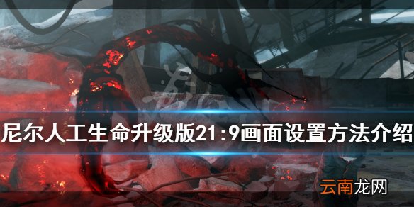 尼尔人工生命升级版21:9画面怎么设置 21:9画面设置方法介绍