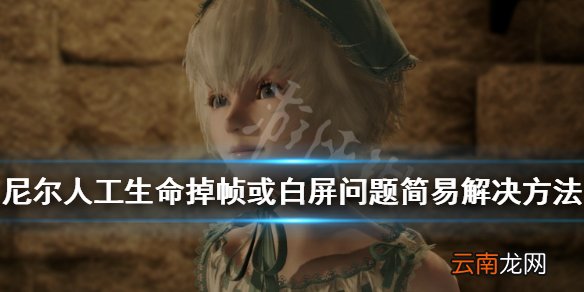 尼尔人工生命升级版白屏怎么办 掉帧或白屏问题简易解决方法