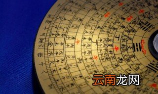 属狗的卧室放什么最好吉利 属狗的卧室摆放什么花比较好