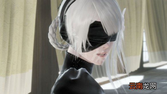 尼尔人工生命升级版怎么钓鱼 尼尔人工生命钓鱼技巧介绍