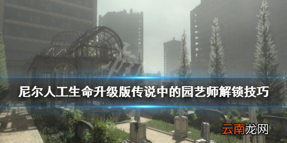 尼尔人工生命升级版传说中的花怎么种 传说中的园艺师解锁技巧