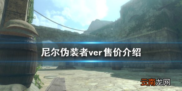 尼尔伪装者ver多少钱 尼尔伪装者ver售价介绍