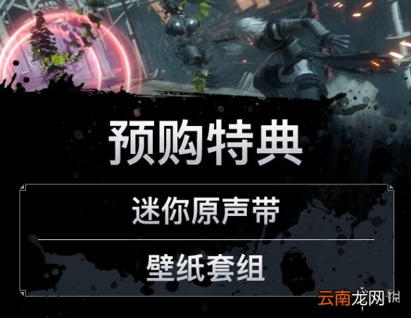 尼尔伪装者ver多少钱 尼尔伪装者ver售价介绍