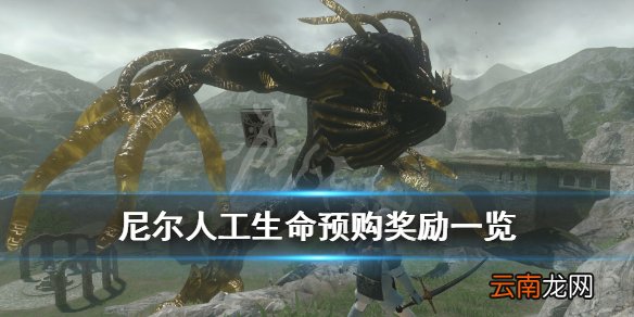 尼尔人工生命升级版预购特典有什么 尼尔人工生命预购奖励一览