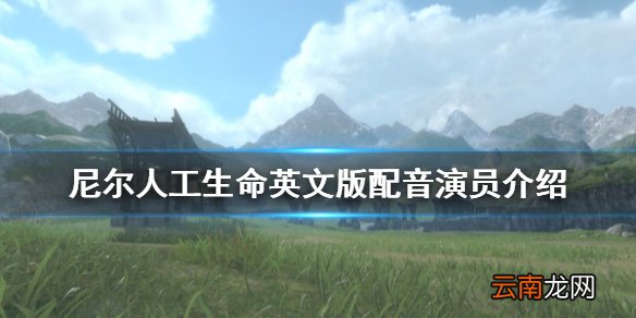 尼尔人工生命英文配音演员是谁 尼尔人工生命英文版配音演员