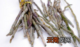 铁皮石斛的吃法和禁忌 铁皮石斛的吃法和禁忌是什么