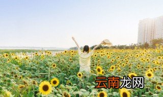 鼓浪屿哪些免费景点 鼓浪屿哪些免费景点好玩