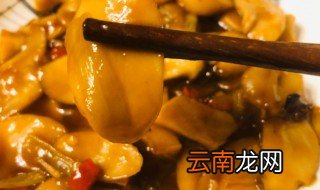 家常蚝油杏鲍菇的做法 蚝油杏鲍菇怎么做好吃