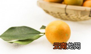 如何制作莆田焗小金桔 怎样制作莆田焗小金桔