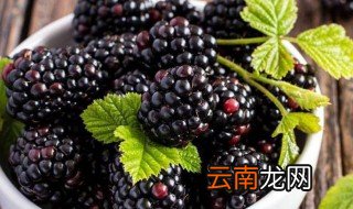 桑椹如何清洗 桑椹介绍