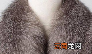 毛领如何正确清洗 毛领的清洗方法