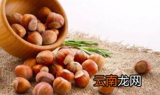 榛子怎么储存 如何保存榛子