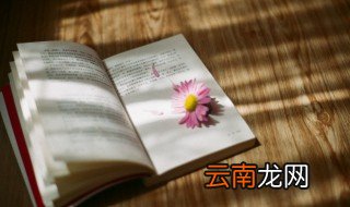 上海与什么等省相邻 上海的简介