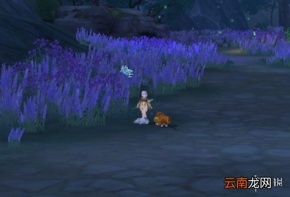 新笑傲江湖蓝银结奇遇攻略 新笑傲江湖蓝银结兔缘奇遇流程