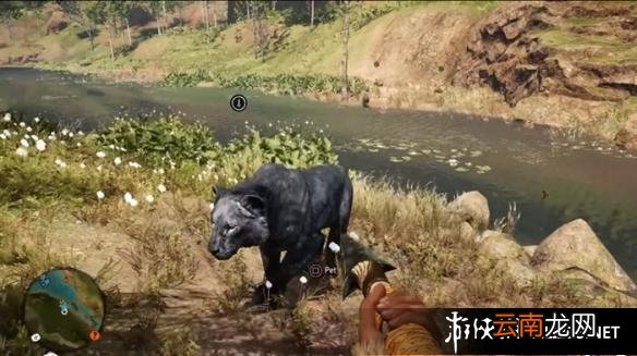 《孤岛惊魂：原始杀戮》动物数据大全图鉴 豺狗Dhole