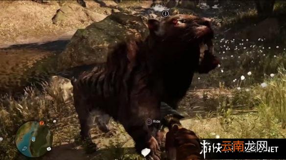 《孤岛惊魂：原始杀戮》动物数据大全图鉴 豺狗Dhole