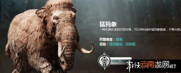 《孤岛惊魂：原始杀戮》动物数据大全图鉴 豺狗Dhole
